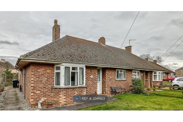 Thumbnail Bungalow to rent in Berry Close, Stretham, Ely
