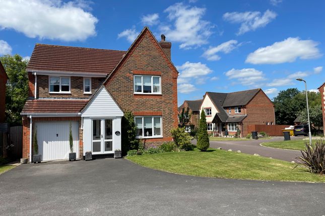 Thumbnail Detached house for sale in The Limes, Motcombe, Shaftesbury