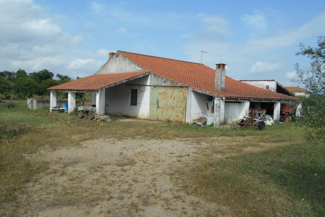 Farm for sale in Ladoeiro, Idanha-A-Nova, Ladoeiro, Idanha-A-Nova, Castelo Branco, Central Portugal
