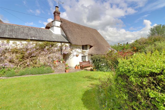 Thumbnail Semi-detached house for sale in Fore Street, Dolton, Winkleigh, Devon