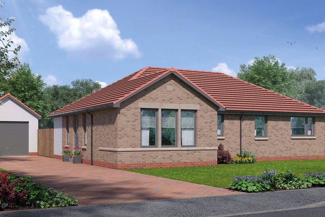 Thumbnail Bungalow for sale in Airth, Falkirk