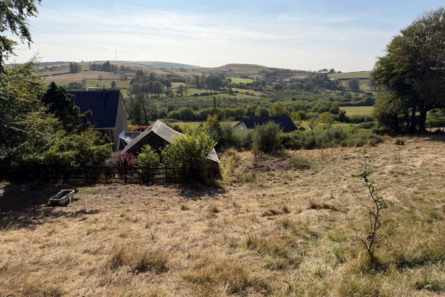 Blaendyffryn, Cwmann, Lampeter photo 4