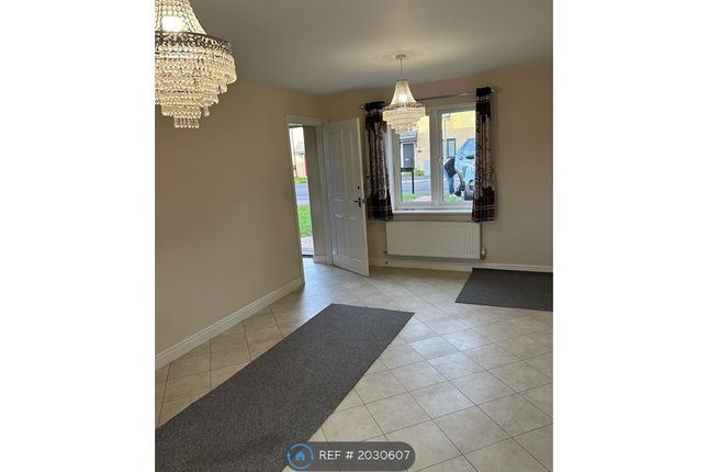 Detached house to rent in Redwing Place, Corby