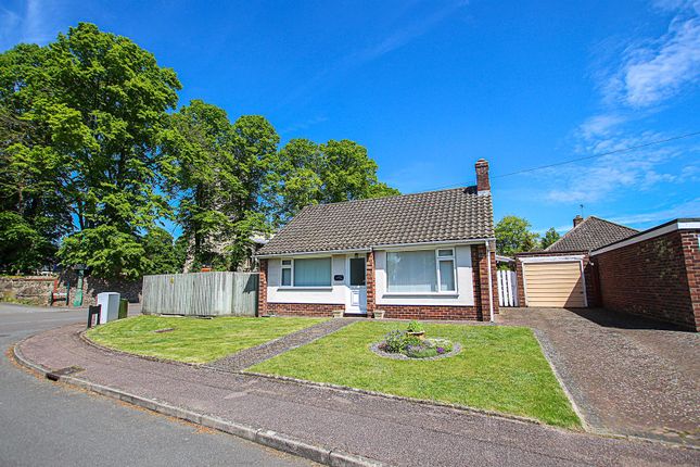 Thumbnail Detached bungalow for sale in St. Martins Close, Exning, Newmarket