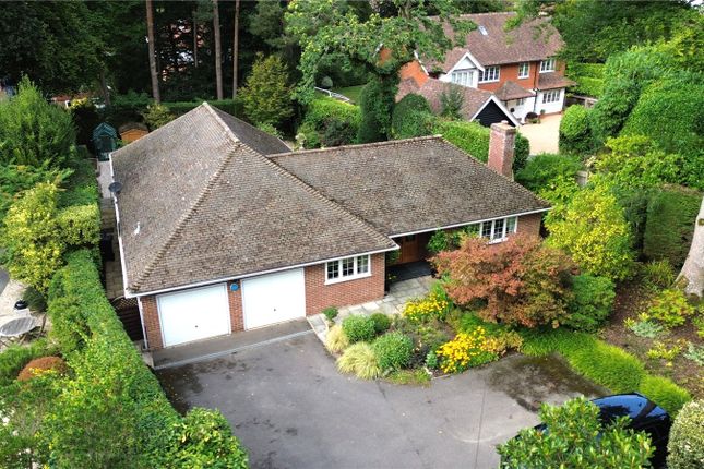 Thumbnail Bungalow for sale in Longdown Close, Lower Bourne, Farnham, Surrey