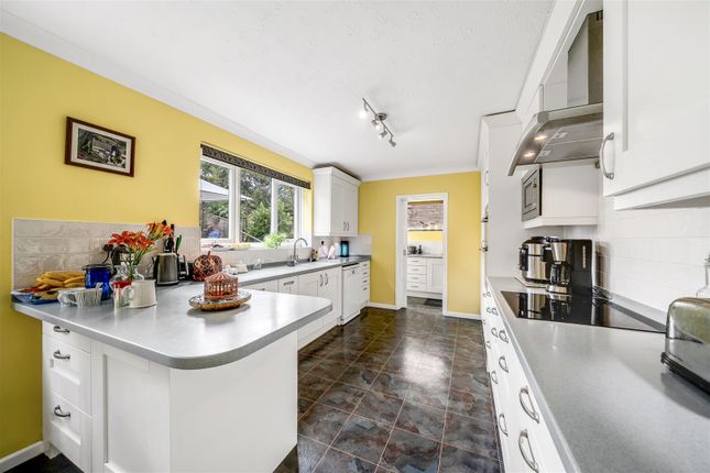 1, Spring Gardens, Dorchester photo 4
