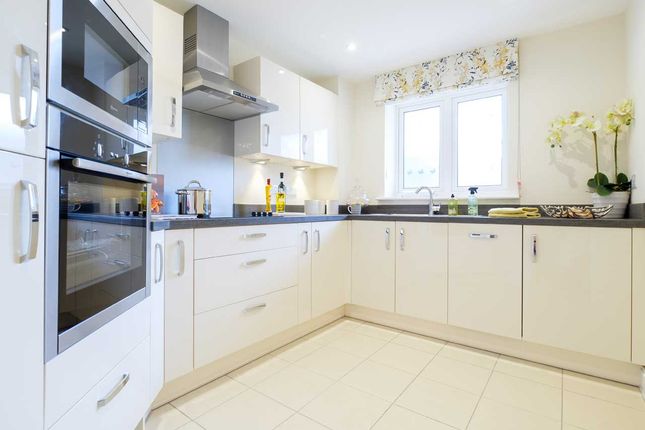 Typical Kitchen