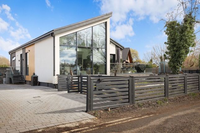 Thumbnail Detached house to rent in Towpath, Shepperton