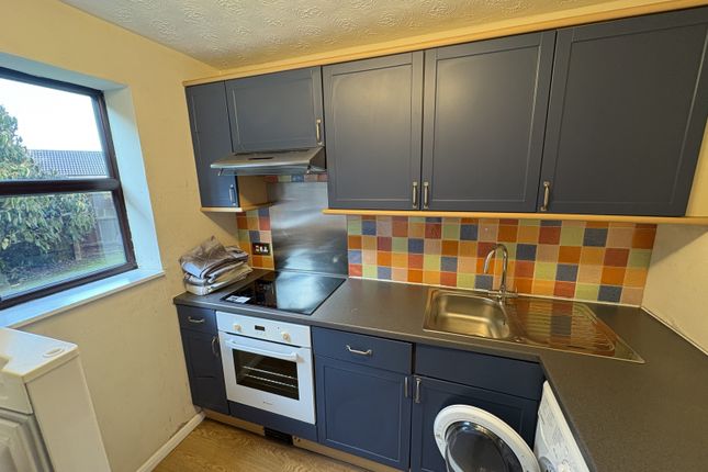 162 Tamarin Gardens, Cambridge photo 3