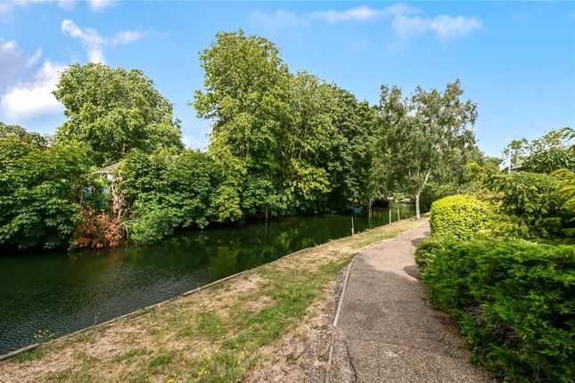 9, Island Close, Surrey photo 3