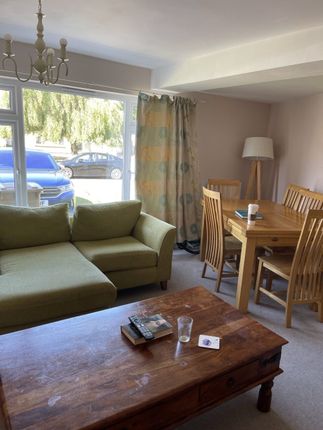 20, Torquay Road, Chelmsford photo 4