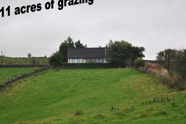 Thumbnail Bungalow for sale in Tabeal, Sanquhar