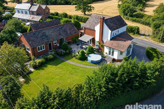Beaujolais & Nouveau Annexe,, Smite Hill, Worcester photo 2