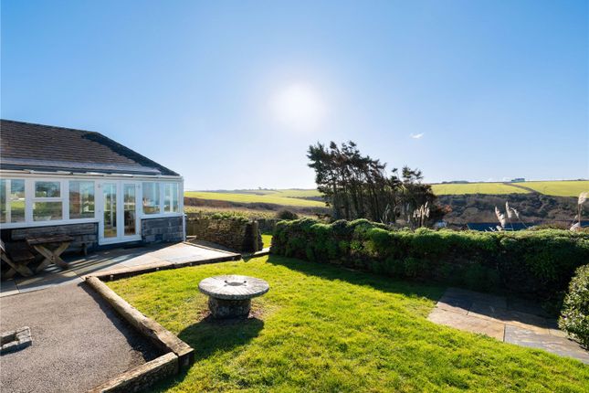 Rear Garden View