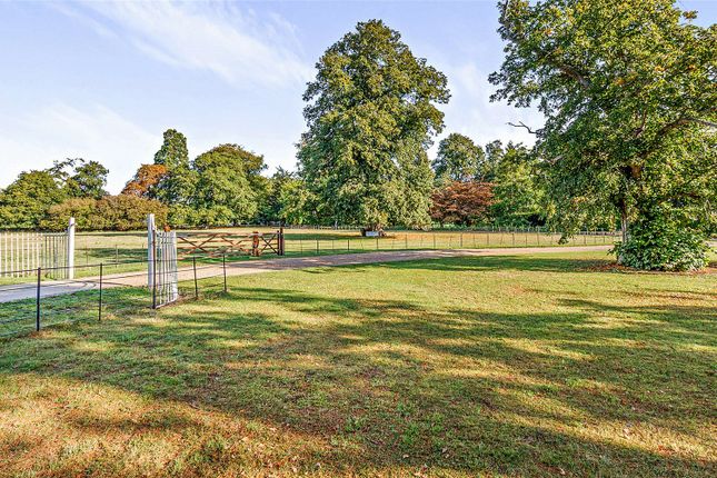 Grounds