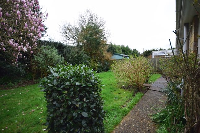 Semi-detached bungalow to rent in Meadow Drive, Bembridge
