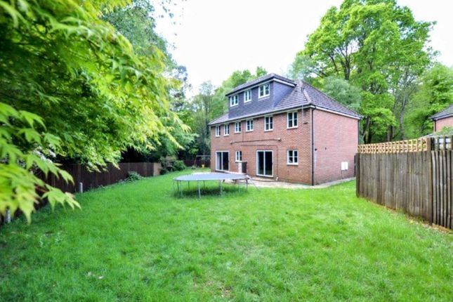 Detached house for sale in Monument Chase, Whitehill, Hampshire