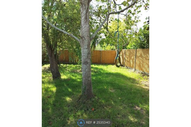 Large Back Garden