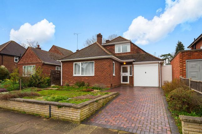Thumbnail Detached bungalow to rent in Woodland Drive, Watford