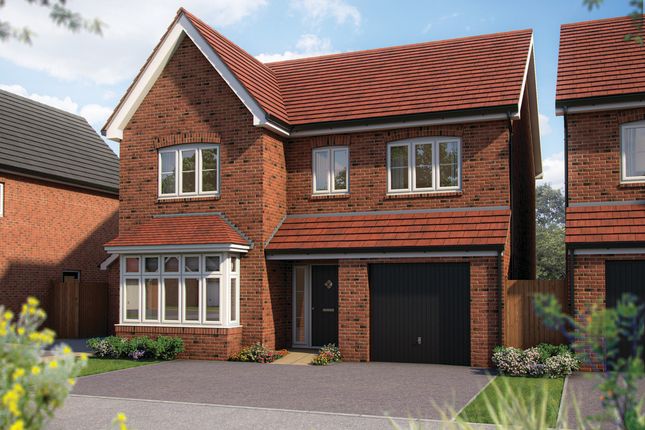 Thumbnail Detached house for sale in "Alder" at Oteley Road, Shrewsbury