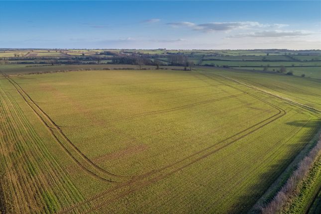 Thumbnail Land for sale in Milthorpe, Lois Weedon, Towcester