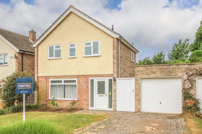 Detached house to rent in Heathbell Road, Newmarket
