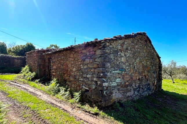 Land for sale in Pedrógão Pequeno, Pedrógão Pequeno, Sertã, Castelo Branco, Central Portugal