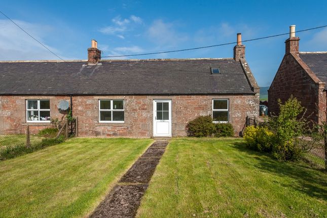Thumbnail Semi-detached house to rent in Westerton Of Pitarrow, Laurencekirk, Aberdeenshire
