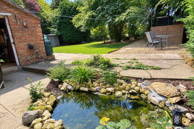 Rose Cottage  Millgate, Whaplode St. Catherines photo 4