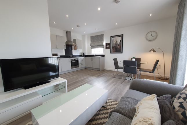 Living Room/Kitchen Open Concept
