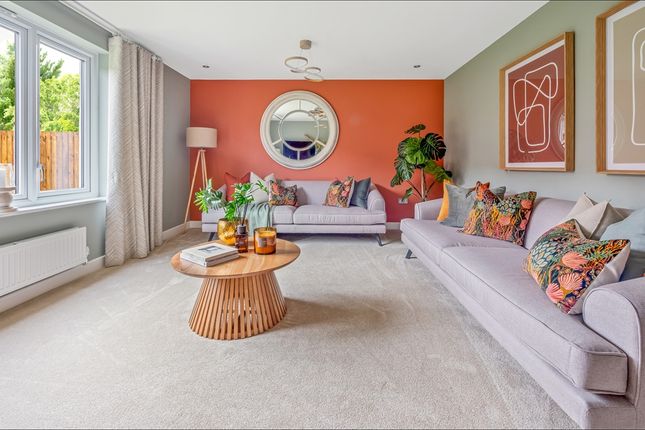 Large Windows Flood The Lounge With Light