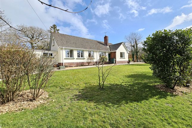 Thumbnail Bungalow for sale in Yarnscombe, Barnstaple