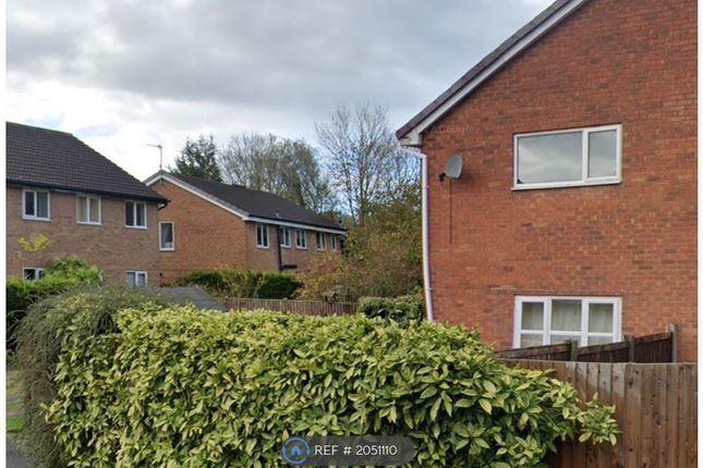 Thumbnail Semi-detached house to rent in Croft Bank, Penwortham, Preston