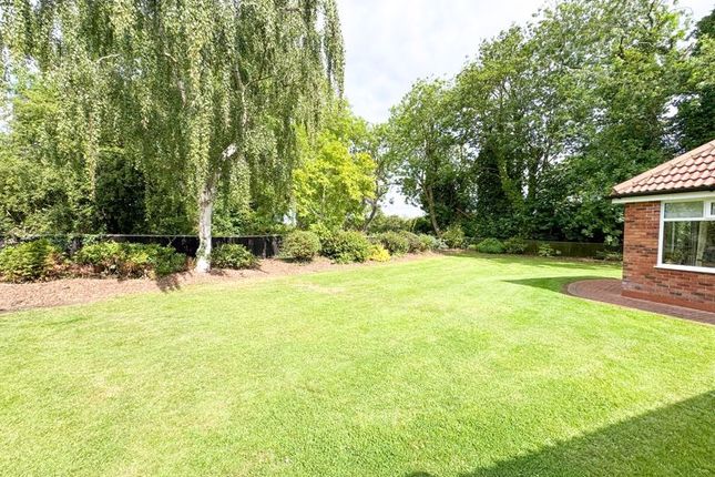 Rear Garden View 4