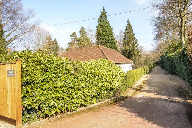 Thumbnail Detached bungalow to rent in London Road, Ascot