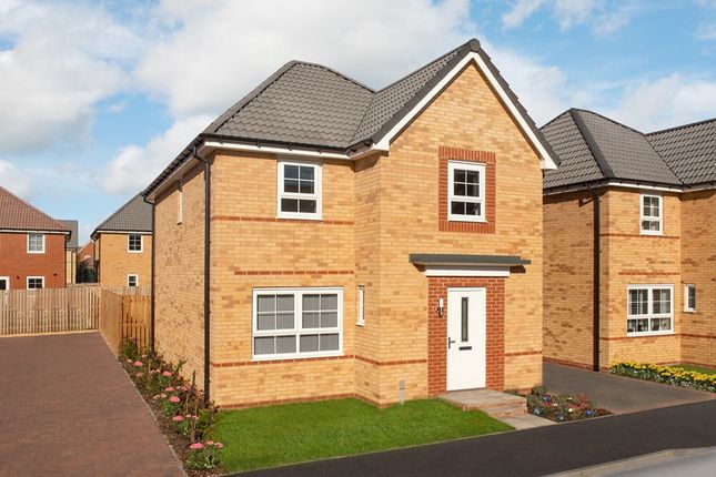 Thumbnail Detached house for sale in "Kingsley" at Blenheim Avenue, Brough