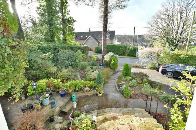 34, Pilford Heath Road, Colehill photo 5