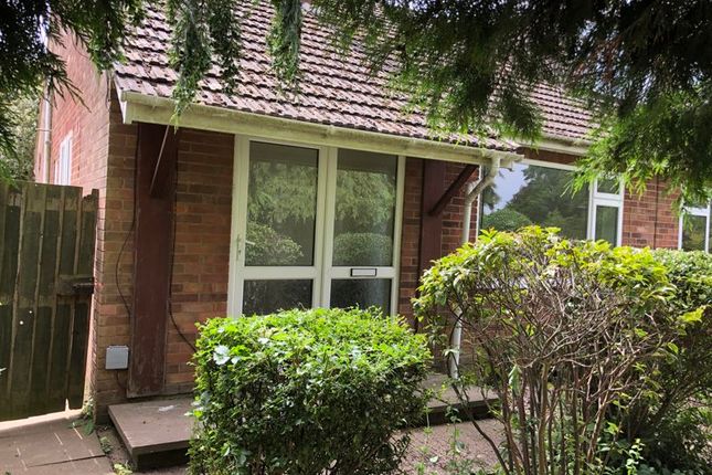 Thumbnail Semi-detached bungalow to rent in Malt Mill Close, Kilsby, Rugby