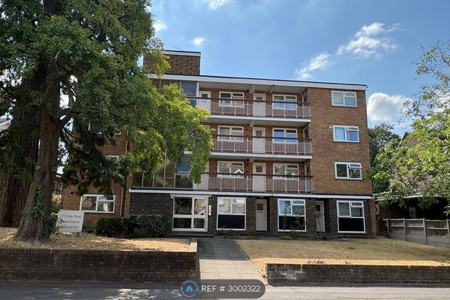 Flat, Cedar Road, Sutton photo 2