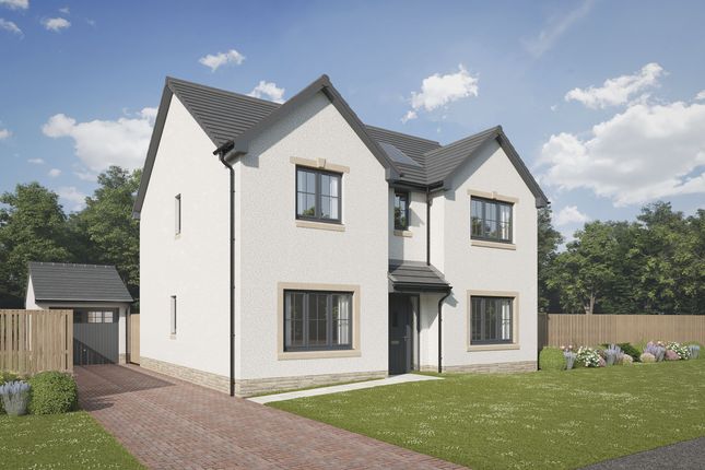 Thumbnail Detached house for sale in "The Lomond" at Off Castlehill, Elphinstone
