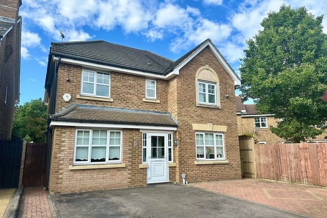 Thumbnail Detached house for sale in Martham Close, Ilford