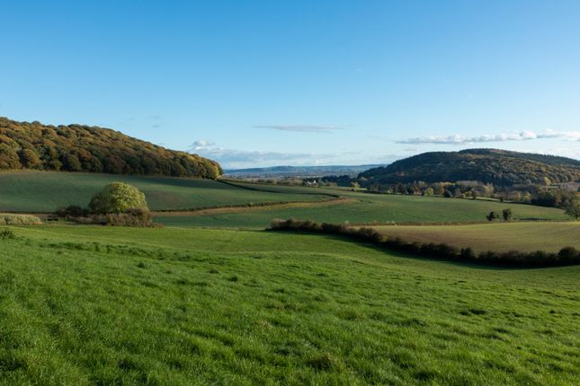 Land for sale in Brinsop, Hereford, Herefordshire