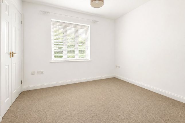 74, Kings Acre, Colchester photo 4