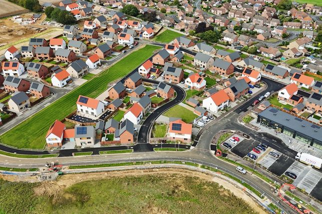 Equinox, Plot 125, Cygnet Rise, Swaffham photo 2