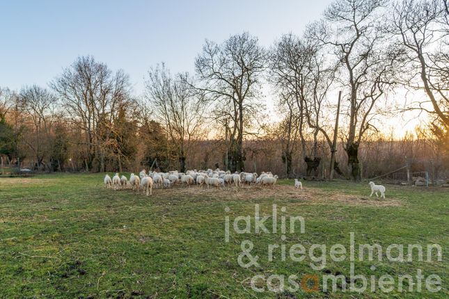 Farm for sale in Italy, Tuscany, Grosseto, Roccalbegna