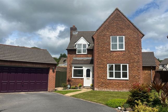 Thumbnail Detached house for sale in Lydford Close, Ivybridge