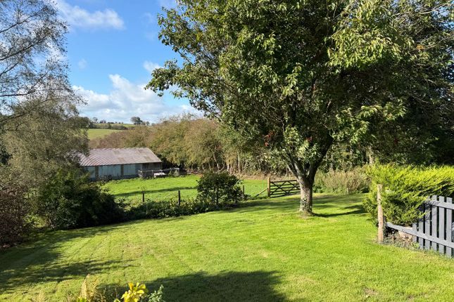 Llwyn Ffawydden, Bettws Bledrws, Lampeter photo 3