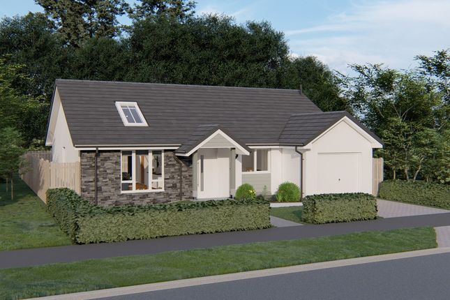 Thumbnail Bungalow for sale in Alyth, Perthsire