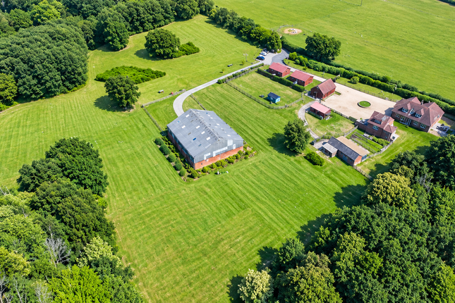 12 Bedroom Land