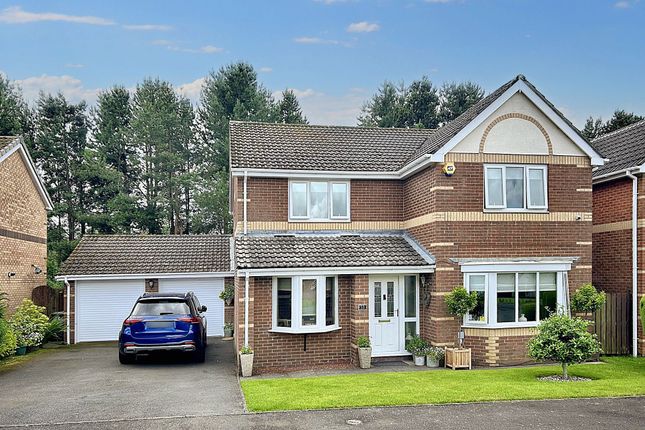 Thumbnail Detached house for sale in Plover Drive, Burnopfield, Newcastle Upon Tyne